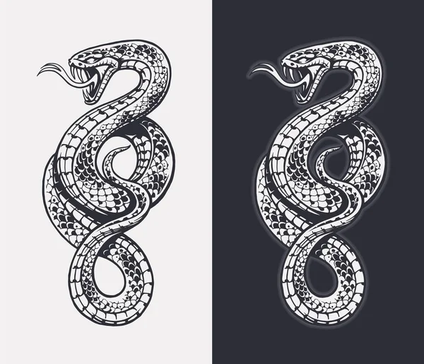 Jogo, Coleção, Serpentes, Cobra Ilustração do Vetor - Ilustração