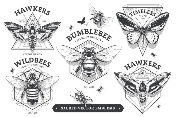 Ensemble Emblèmes Vintage Aux Formes Géométriques Insectes Collection Abstraite Emblèmes — Image vectorielle