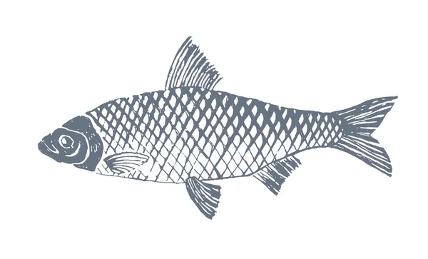 Fische im Skizzenstil — Stockvektor