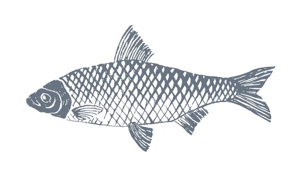 Fische im Skizzenstil Stockillustration