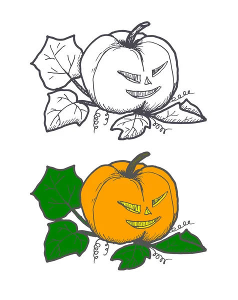 Handgezeichnetes Doodle-Halloween-Pampkin. schwarze Federobjekte und Farbzeichnung. Design-Illustration für Plakat, Flyer . — Stockvektor