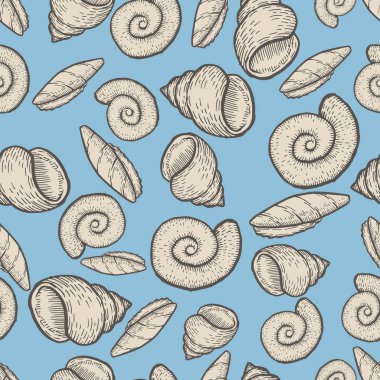 Deniz kabuğu toplama el su doodle vektör çizim çekilmiş. Kroki seamless modeli.