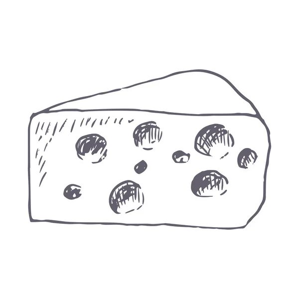 Käse Hand gezeichnet Vektor Illustration — Stockvektor