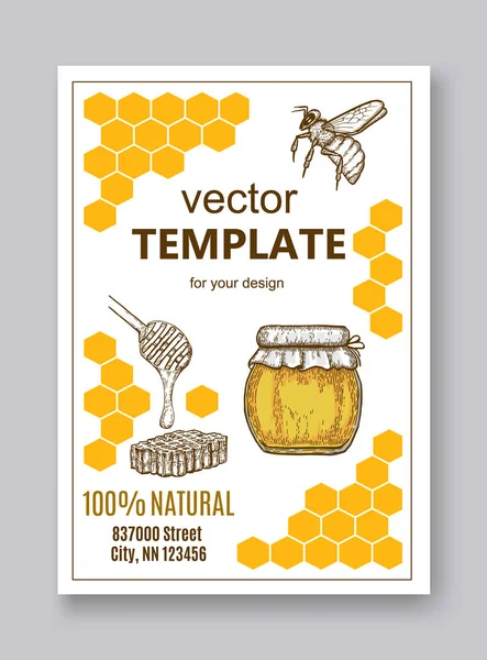 Plantillas de plumas de miel dibujadas a mano — Vector de stock