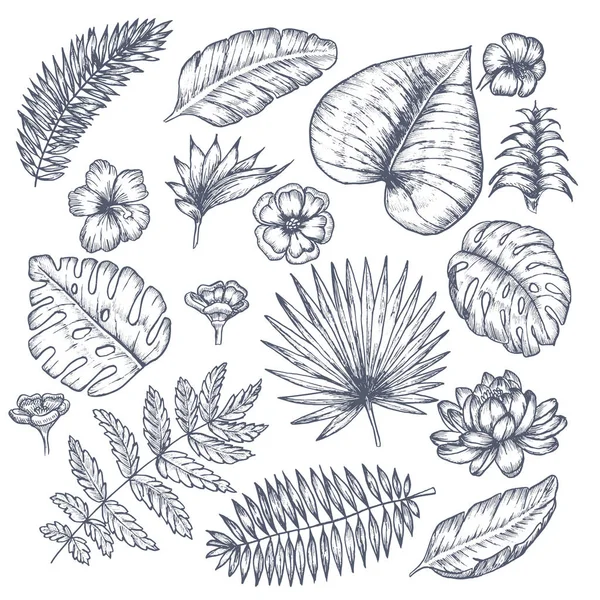 Tropikal yaprak ve çiçek ile tropikal arka plan