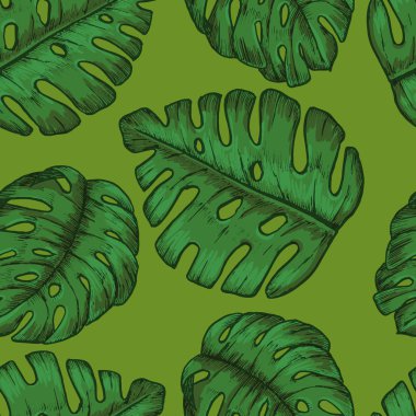 Tropikal sorunsuz geçmiş tropikal yaprak ile