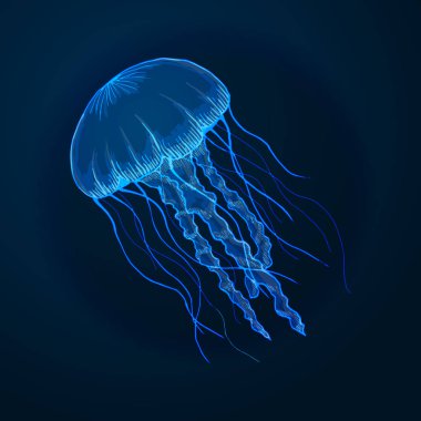 Elle çizilmiş kroki izole denizanası, deniz hayvanları