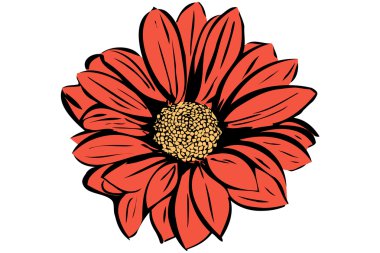  güzel çiçek açan Çiçek Bahçesi