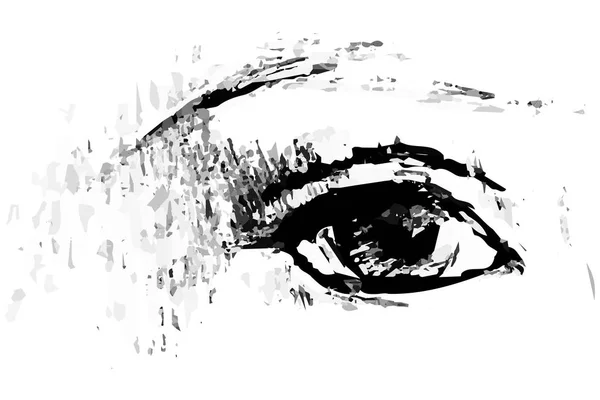 Sketch of an open human eye — Stock Vector