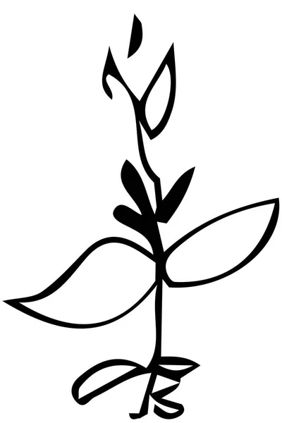 Bosquejo vectorial de una ramita de planta y hojas — Vector de stock