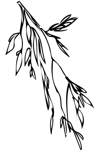 Векторный эскиз веревки и листьев растения — стоковый вектор