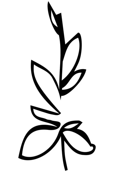 Croquis vectoriel d'une brindille et de feuilles de plante — Image vectorielle