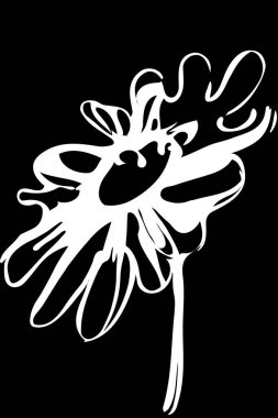 vektörel clipart bitki çiçek papatya