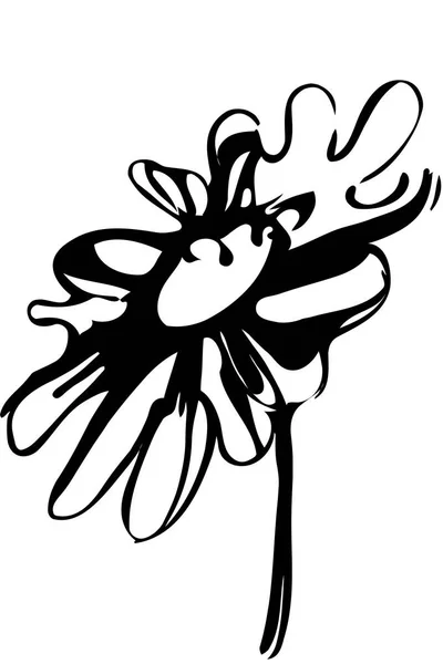 Vettore clipart pianta fiore camomilla — Vettoriale Stock