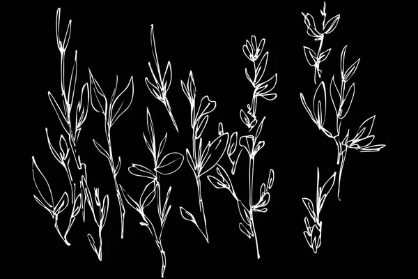 植物生长在字段中的剪影 — 图库矢量图片