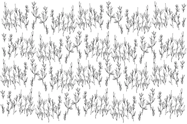 Boceto de fondo de una planta que crece en un campo — Archivo Imágenes Vectoriales