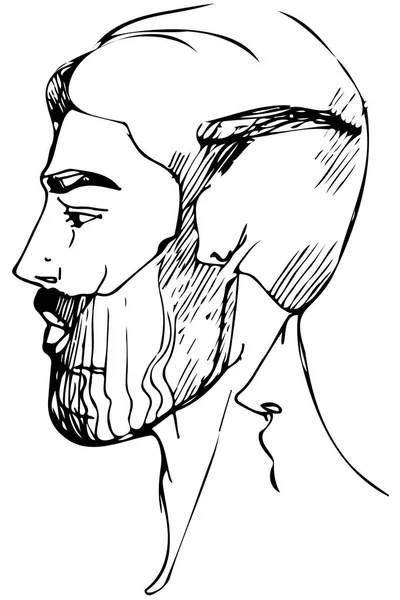 Ескіз для портрета чоловіка з бородою — стоковий вектор