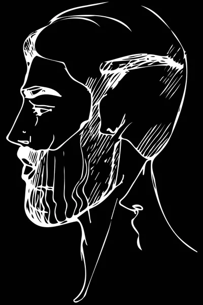 Schets voor een portret van een man met een baard — Stockvector