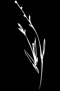 rüzgarda sallanan çim bir SAP taslağını