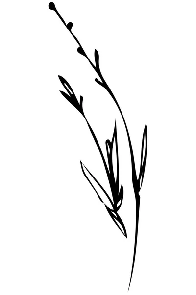 바람에 스윙 하는 잔디의 줄기의 스케치 — 스톡 벡터
