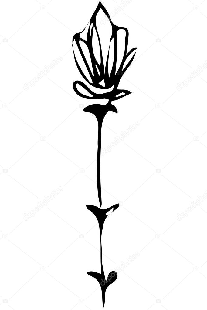 vector sketch abstract flower