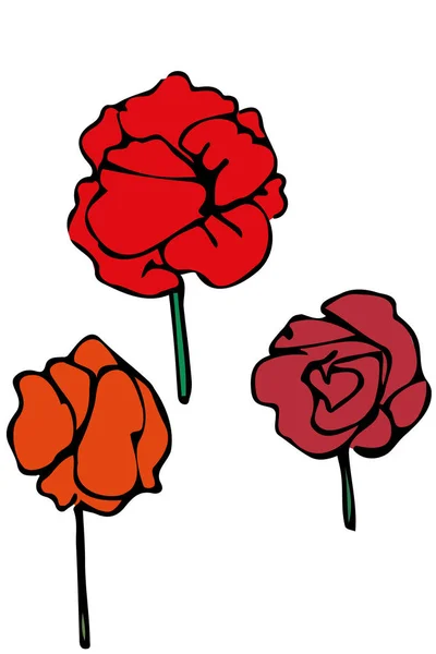 Virágok piros rózsa — Stock Vector