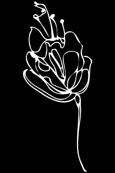 Vector bosquejo flor abstracta — Archivo Imágenes Vectoriales