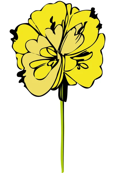 Vector sketch abstract flower — Stock Vector