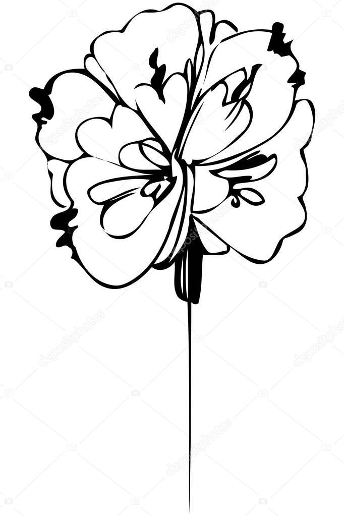 vector sketch abstract flower