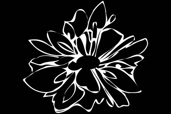 Vector bosquejo flor abstracta — Vector de stock