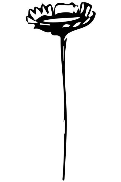 Vector sketch field flower on stem — Stock Vector