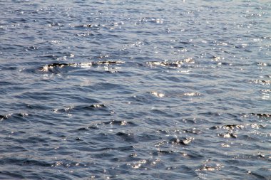 dalgalar ve güneş ışığı yansımaları ile Nehri'nin su yüzeyi