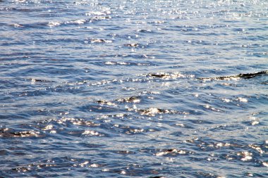  dalgalar ve güneş ışığı yansımaları ile Nehri'nin su yüzeyi