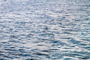 dalgalar ve güneş ışığı yansımaları ile Nehri'nin su yüzeyi