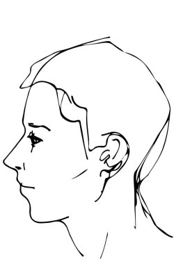 bir güzel adam profili vektör çizimi