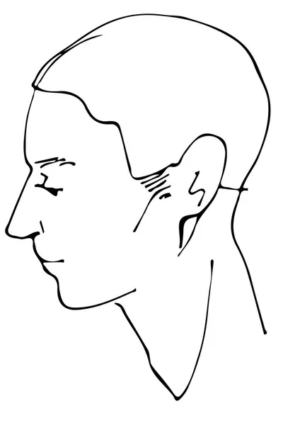 Bir güzel adam profili vektör çizimi — Stok Vektör