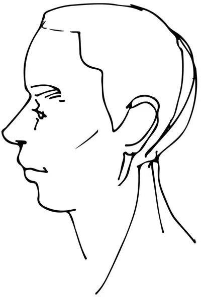 Vector sketch of a beautiful man profile — Stock Vector