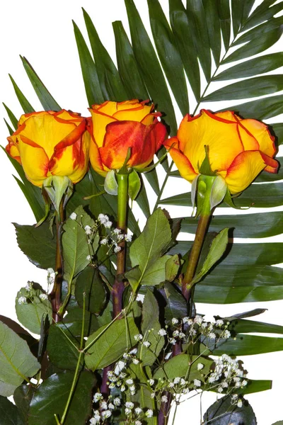 Beautiful bouquet of three yellow-red roses — Stock Photo, Image