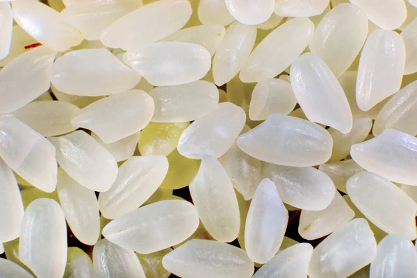 Háttérben a gabonafélék fehér nyers rizs — Stock Fotó