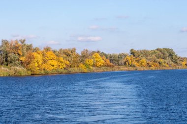 Büyük bir nehrin kıyısında sarı ağaçlar.
