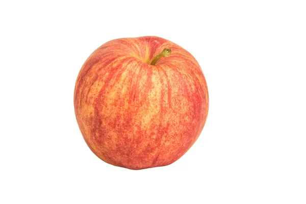 Image One Red Yellow Ripe Apple Tail White Background — Stock Photo, Image