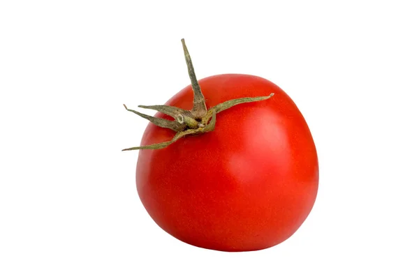 成熟蔬菜红色西红柿的图像 白色背景上有尾巴 — 图库照片