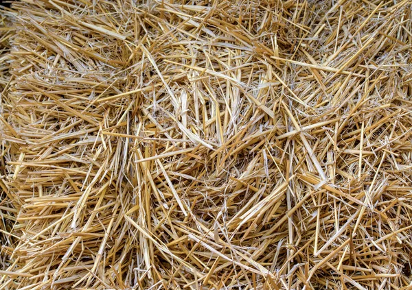 黄色稻草包的自然背景图像 — 图库照片