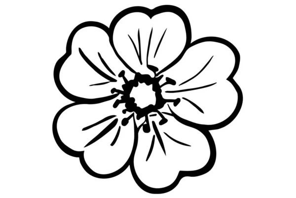 Schwarz Weiße Vektorskizze Einer Wildblumenpflanze — Stockvektor