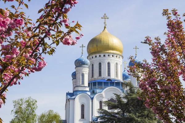 Uzhgorod Catedral Ortodoxa, Ucrania — Foto de Stock