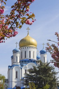 Uzhgorod Ortodoks katedrali, Ukrayna
