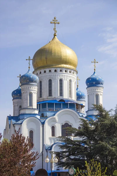 Uzhgorod ortodoxa katedralen, Ukraina — Stockfoto