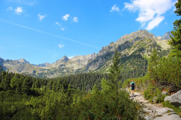 斯洛伐克塔特拉山高山 — 图库照片