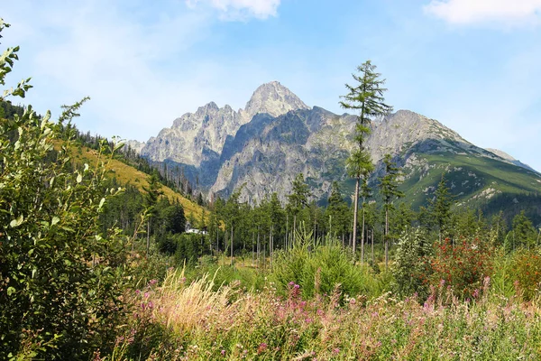 Hautes montagnes Tatras, Slovaquie — Photo