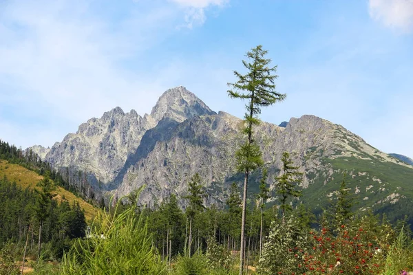 Hautes montagnes Tatras, Slovaquie — Photo